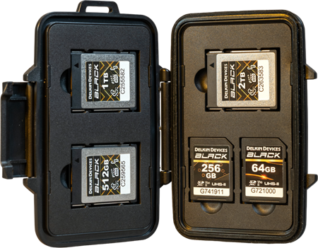 Delkin Hard Case CFexpress Typ B / SD