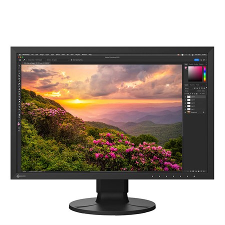 Eizo Bildskärm 24" ColorEdge CS2400S