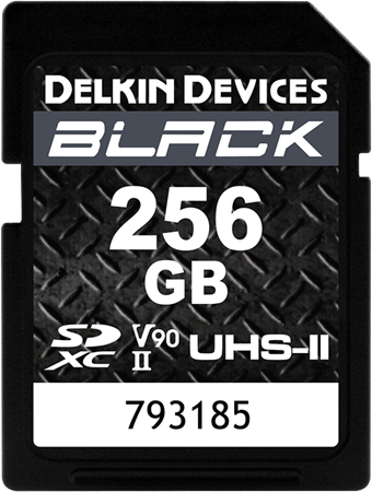 Delkin BLACK SD 256GB UHS-II Rugged 300/250